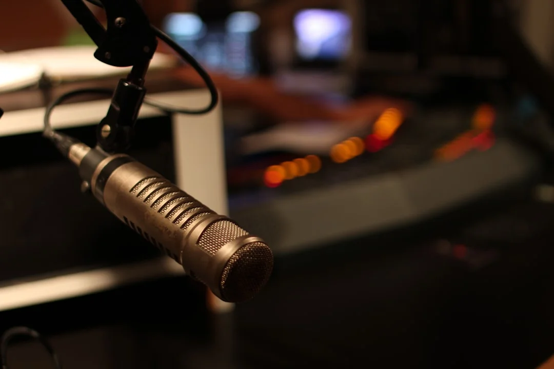 black and gray microphone with stand